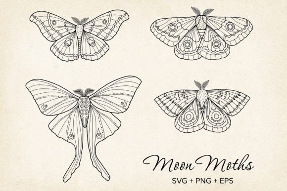 Download Moth &amp; Butterfly SVG Vector, Hand-drawn - Moth Collection